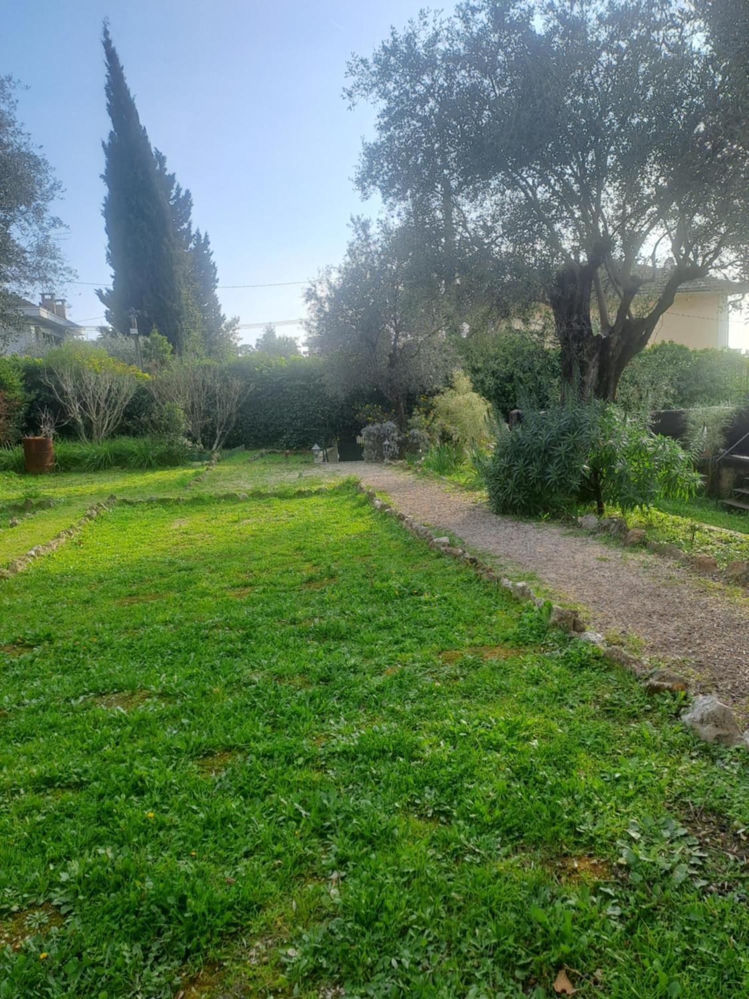 Maison Du Bonheur Calme Et Verdure Nice Dış mekan fotoğraf